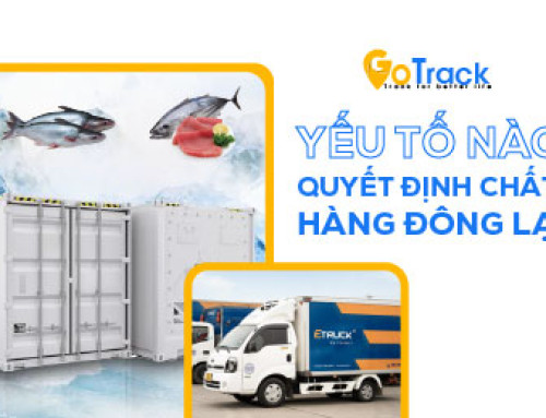 Yếu tố nào quyết định chất lượng hàng đông lạnh?