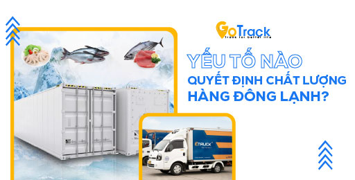 Yếu tố nào quyết định chất lượng hàng đông lạnh?